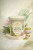 Matcha ceremonialna Premium Green Matcha 40g Sir Roger